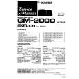 PIONEER GM2000 Manual de Servicio